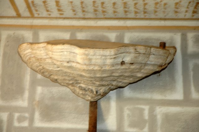 dsc_0015.jpg