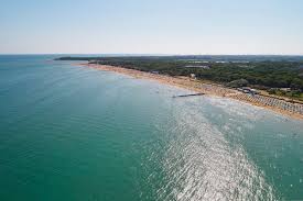 mare